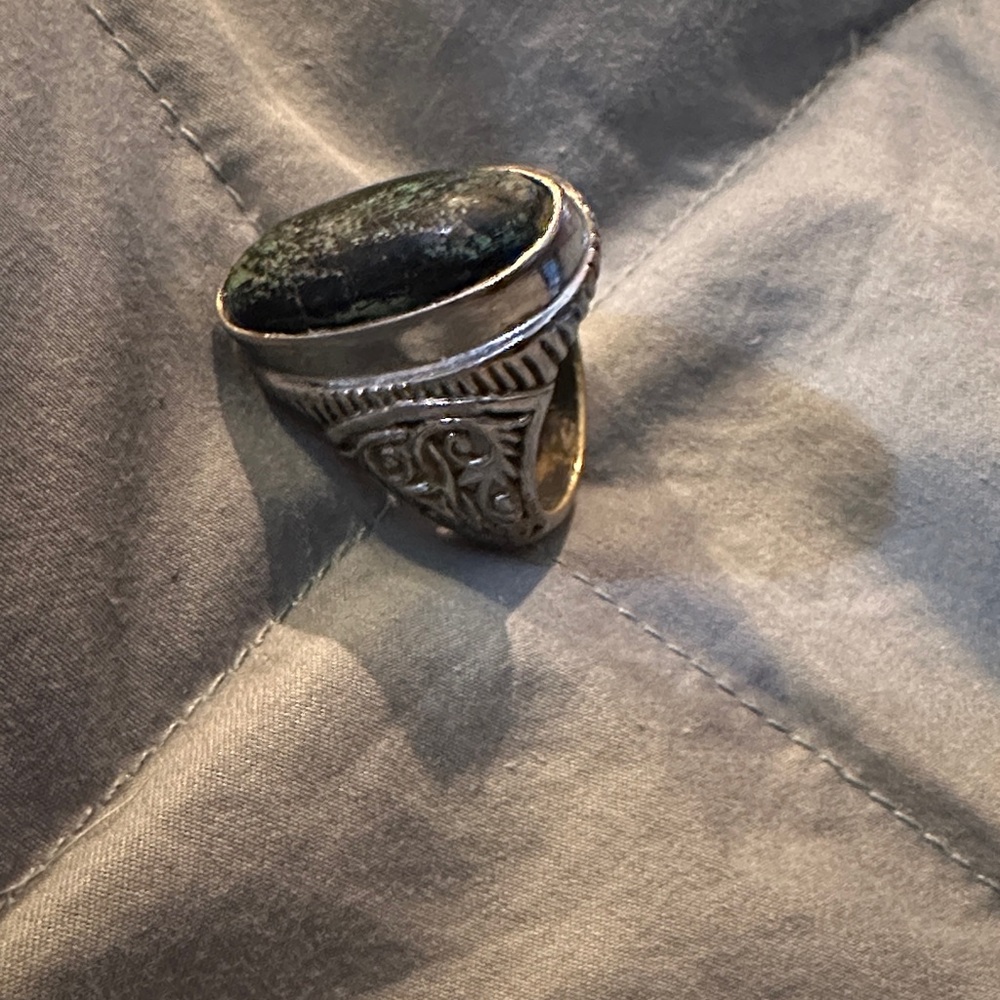 Silver and Opalized Petrified Wood Men's Ring